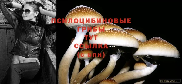 соль курить ск Богородск