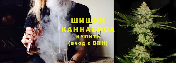 бошки Богородицк