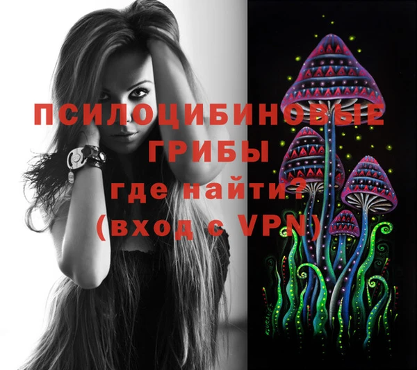 соль курить ск Богородск