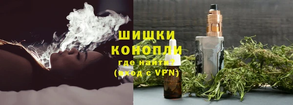 бошки Богородицк
